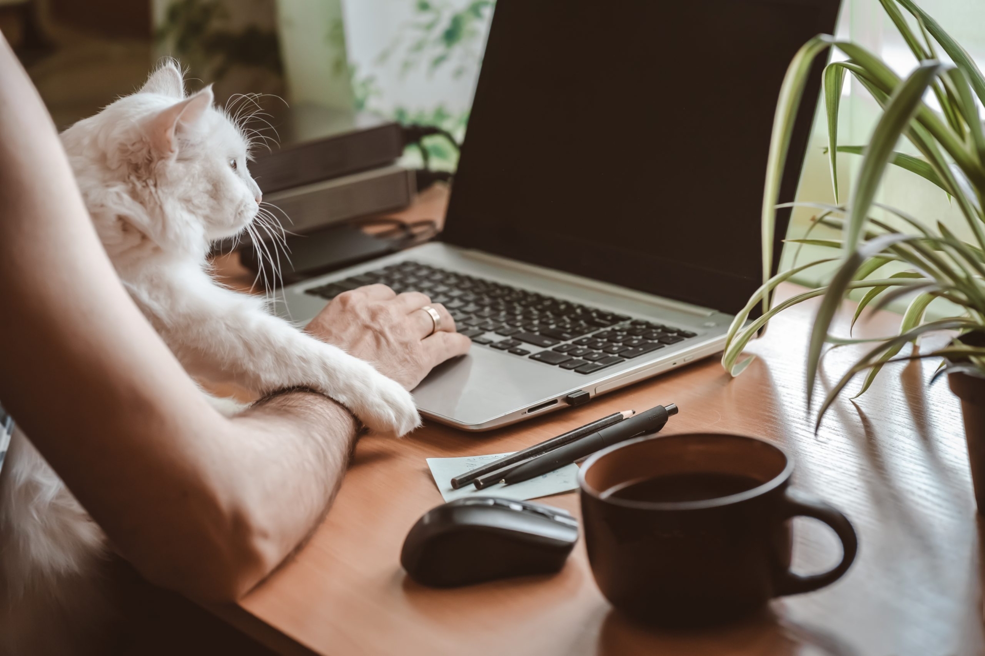 Man werkt vanuit huis met zijn aan zijn moderne werkplek